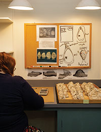 Diagrams on white boards in the lab give guidance to volunteers on where to devote their attention.