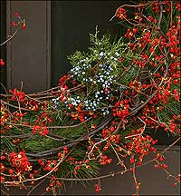 Christmas wreath