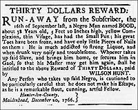 Interpreter Richard Josey portrays one of many slaves who escaped in cities,
as notices for their return attest.