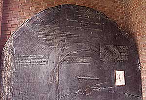 trunk of a California sequoia that fell in 1917