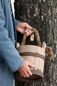 A close view of the spile and bucket that could be used for gathering sap.